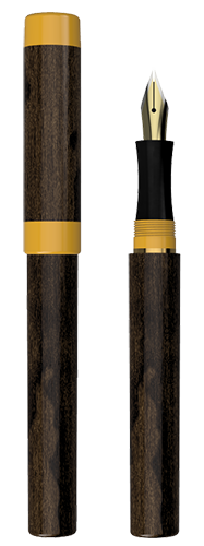 Model 2 Pen Image