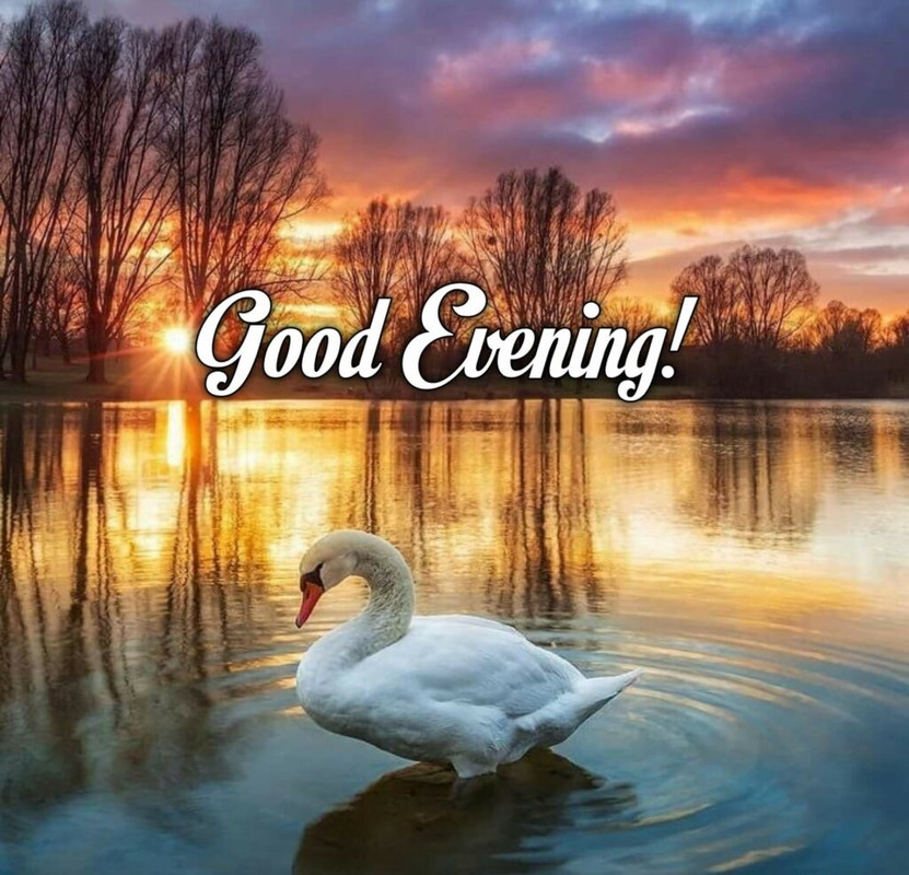 good-evening-images-19-1024x1024