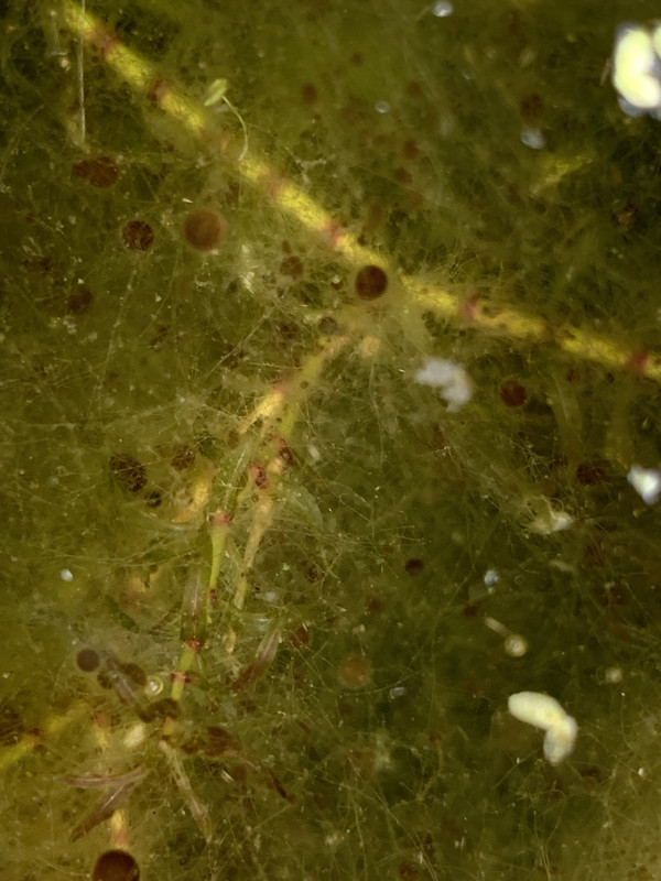 780AC99B-D0E4-4DC9-B8F9-7DE08A8FE57C