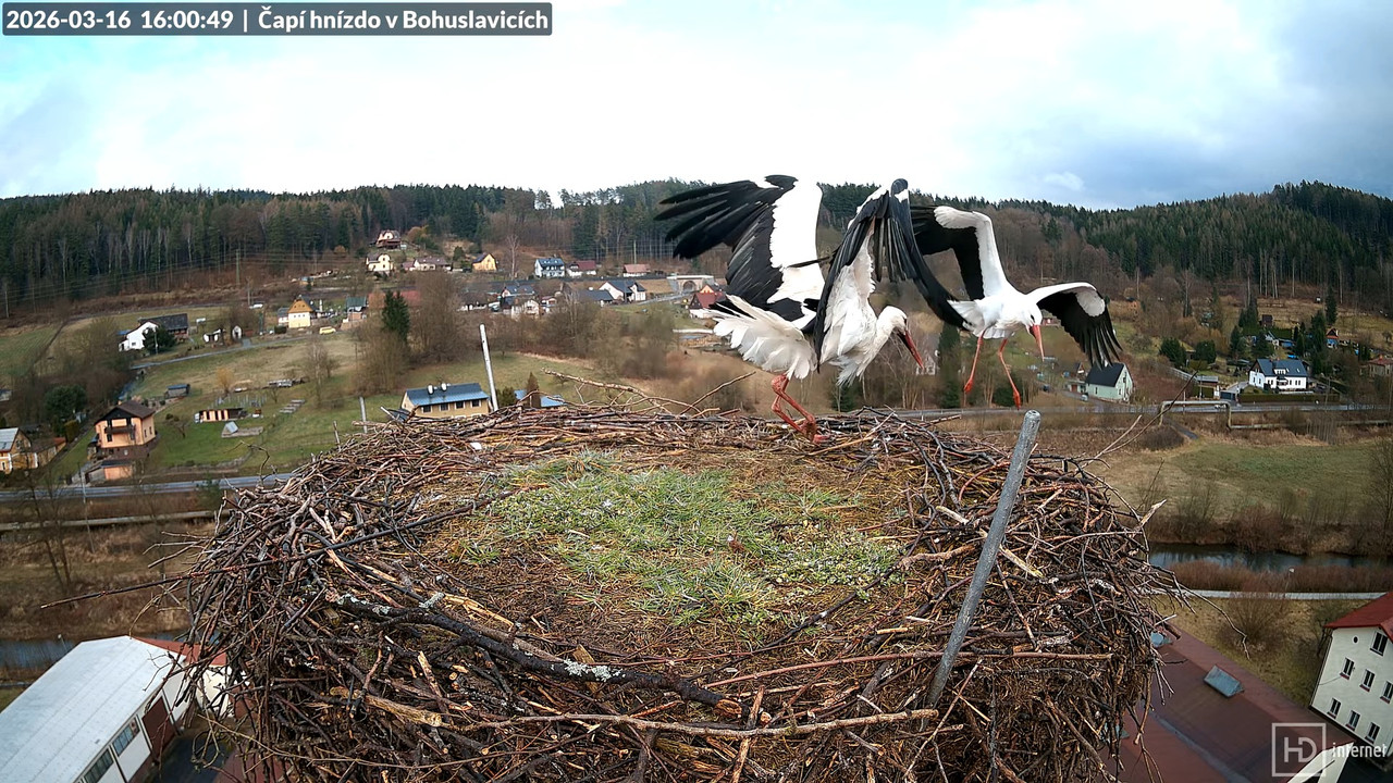 Živě z čapího komína firmy KARA v Bohuslavicích u Trutnova 15 7 14 screenshot (1)