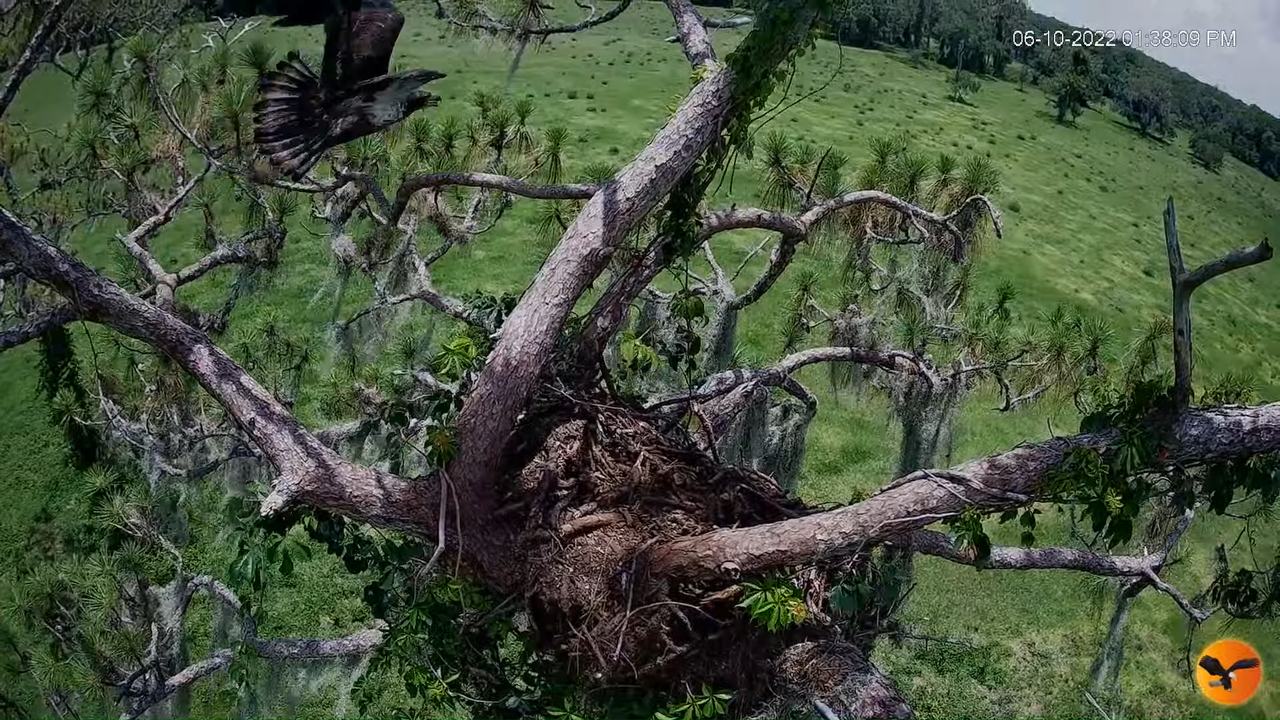 EC 4K Overhead Cam 14-16-25 screenshot