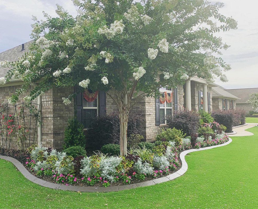 4B3507EE-5C00-4269-B8F3-62BF9891378E