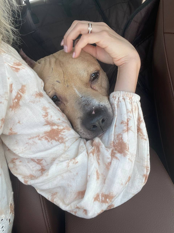 4987BE0D-7A94-451E-836B-DC3F417ACFB7