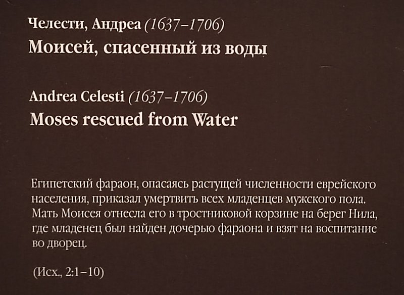 https://i.postimg.cc/6qtvLvRd/256-IMG-20240530-152945.jpg