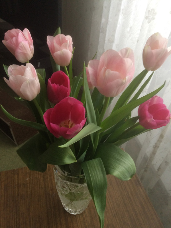 738514D9-B109-4511-B09C-E87093E2B7FF