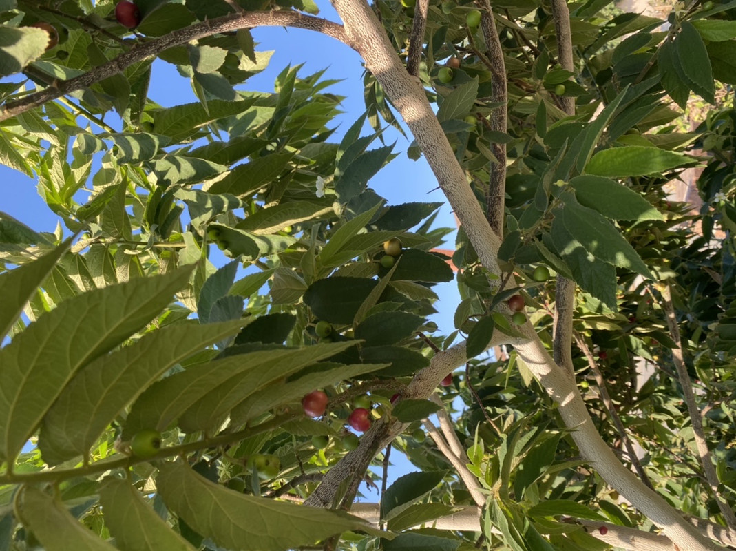 C0A5C24F-3B22-45D9-9E83-2BC76B83672C