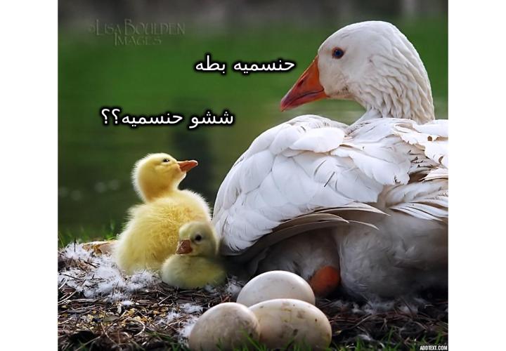 ���� ���� ������ �� ���� ������