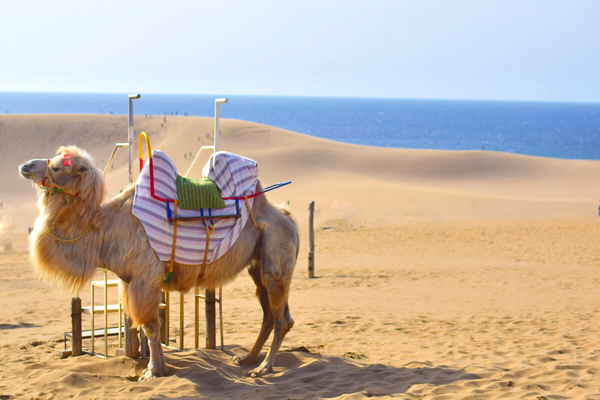 Whats-App-Image-2021-07-08-at-11-26-25-AM-1