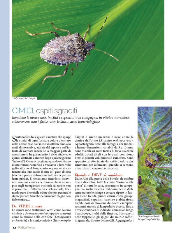 Pol Ver Ott 2021 (7)