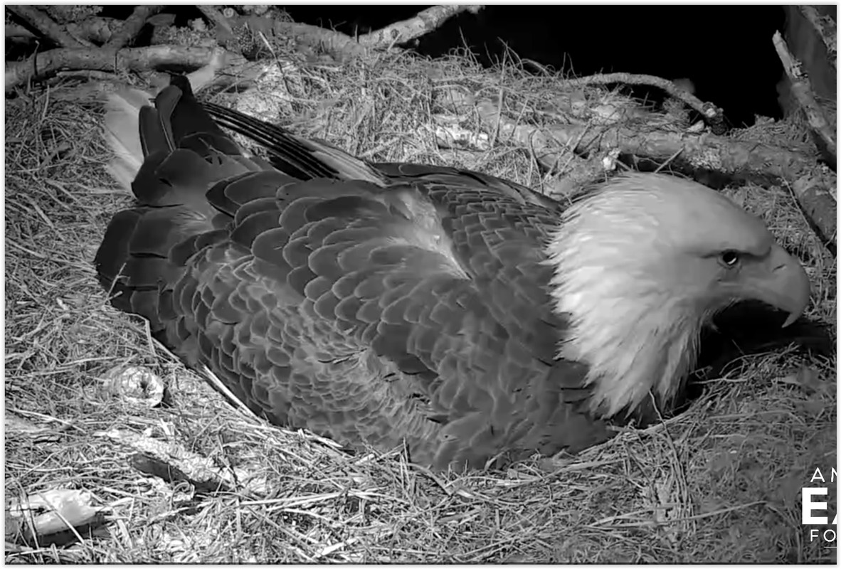 Screen Shot 02-19-20 at 02.59 AM