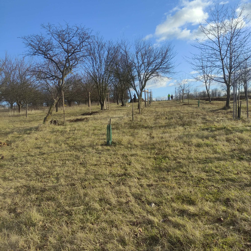 608195109 846277201362970 4577491983073529317 n