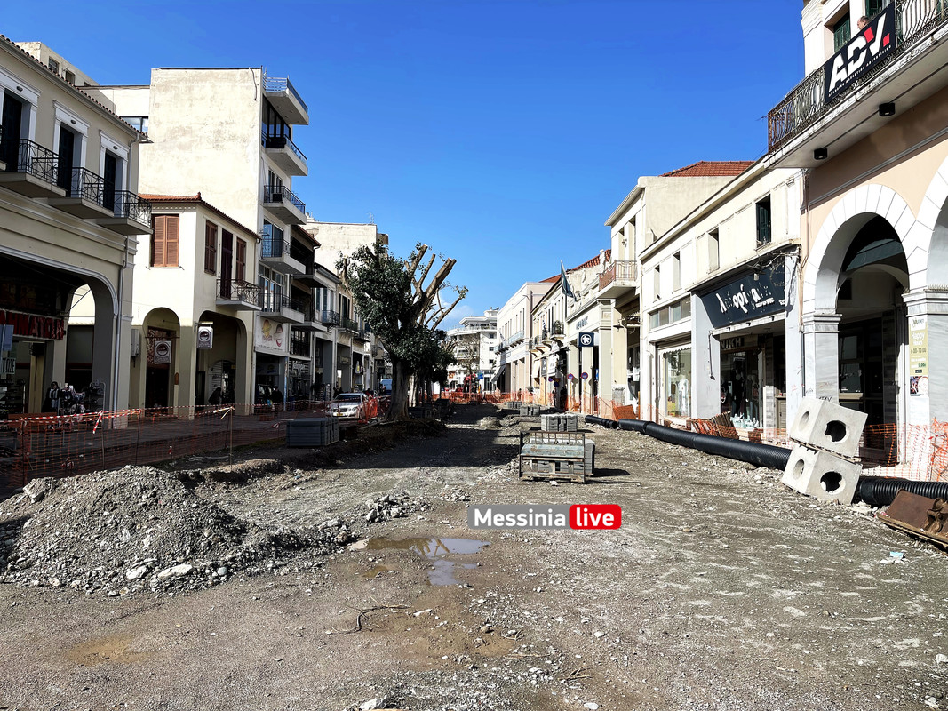 δεντρα 23IMG_8983