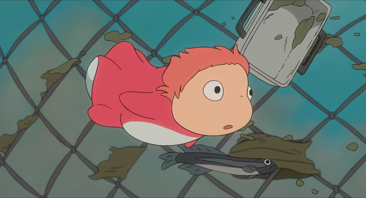 Image error
