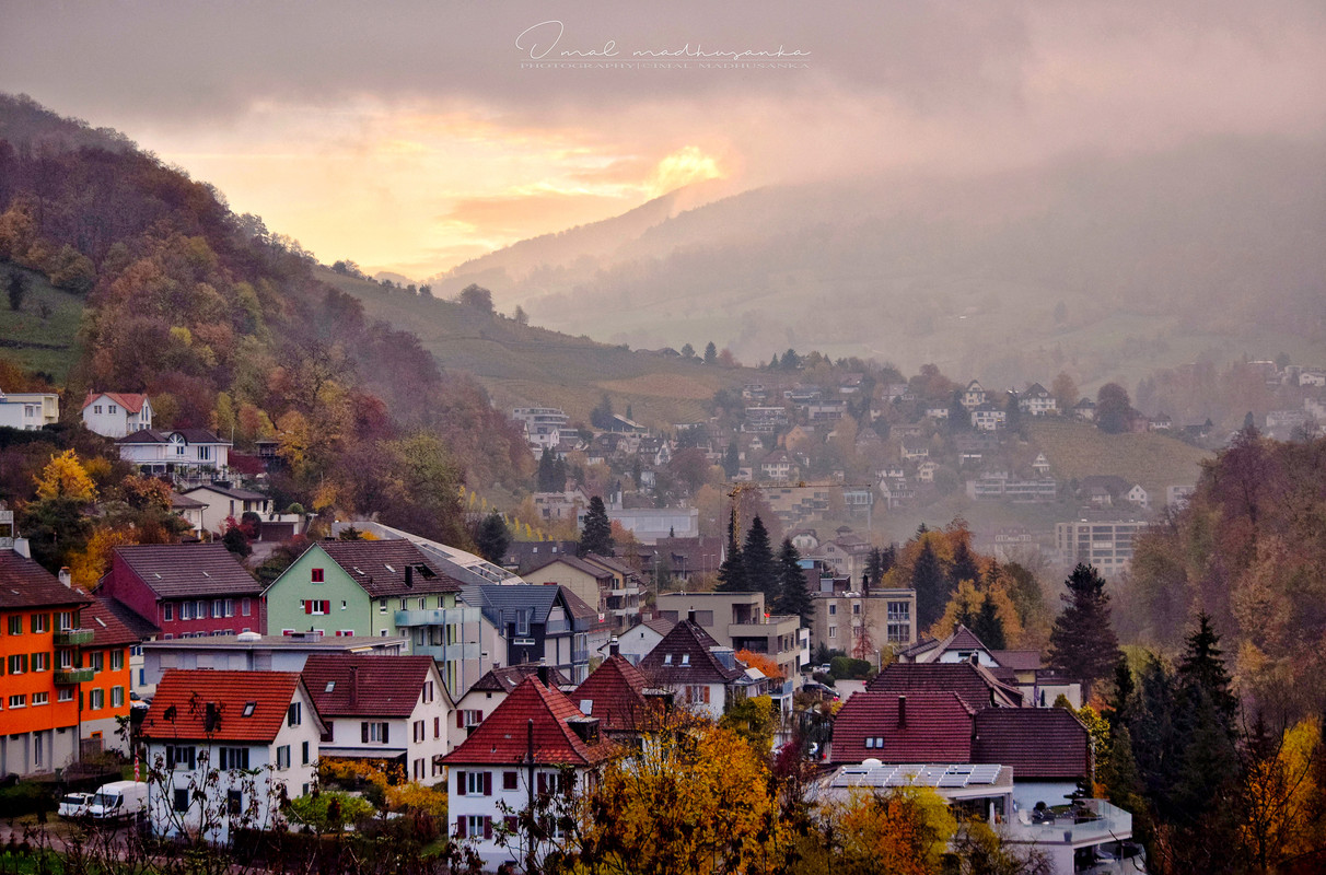 DSC-0187-01-swiss.jpg