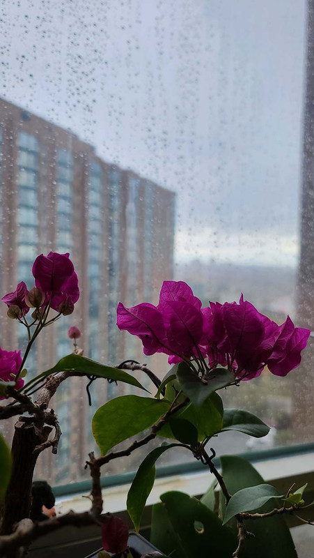 [Image: 20231015-115935.jpg]