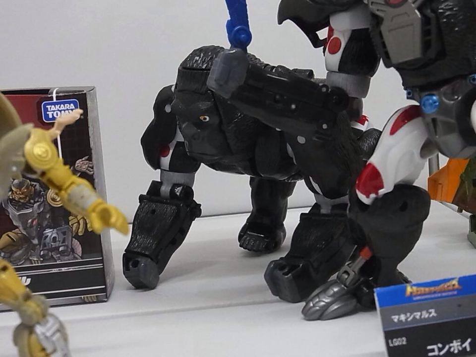 10565172_725987167467226_9158251768084048834_n