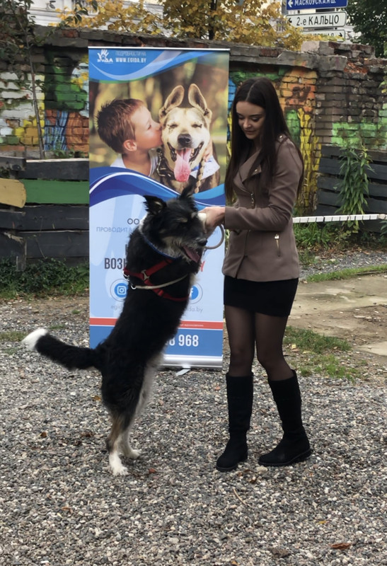 4EE0B9FA-36D8-4BE9-9950-DB2A0EEE23D1