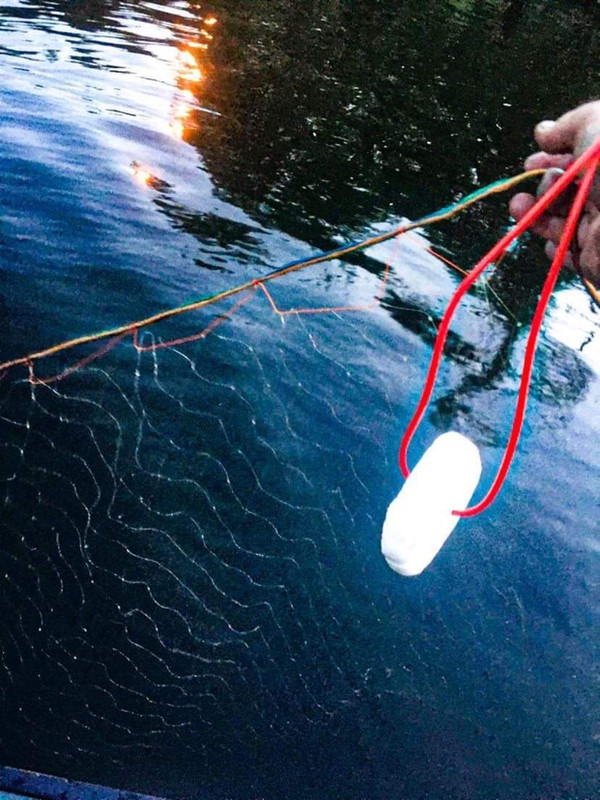 8788B42A-DD48-4352-9136-7BD78FF42DCE