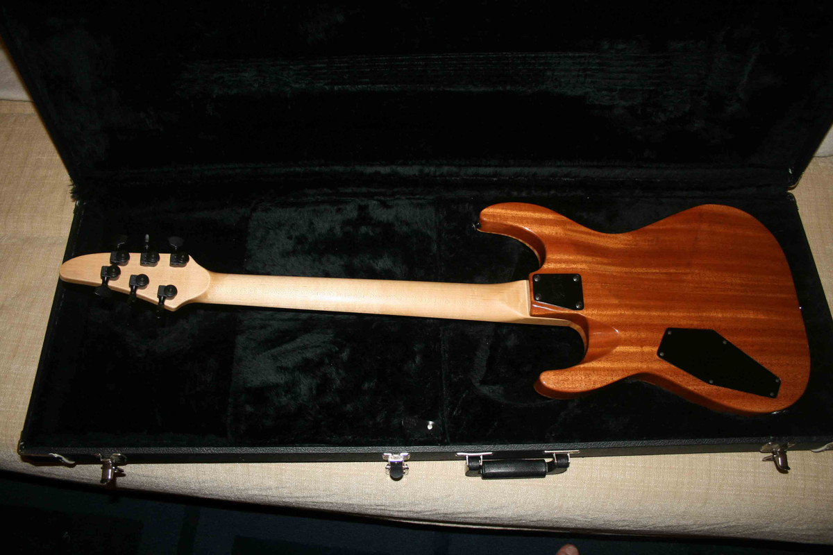 gtr_back