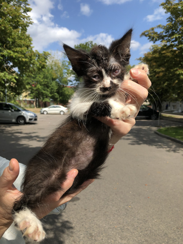 444DBBF2-05B5-48F6-A691-E75403DD099A