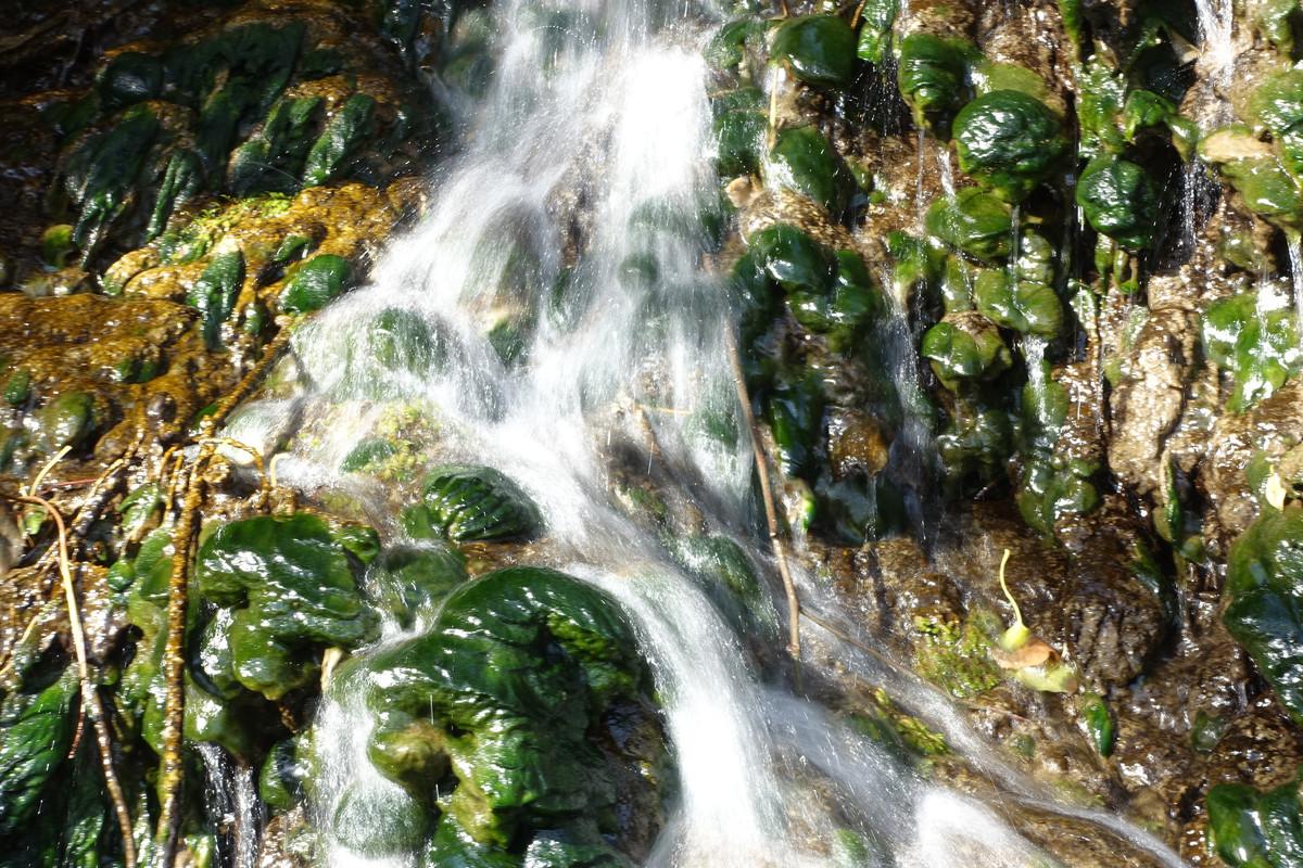 dsc04629_16946523469_o