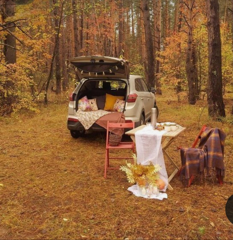 Screenshot_20231127_223629_Pinterest