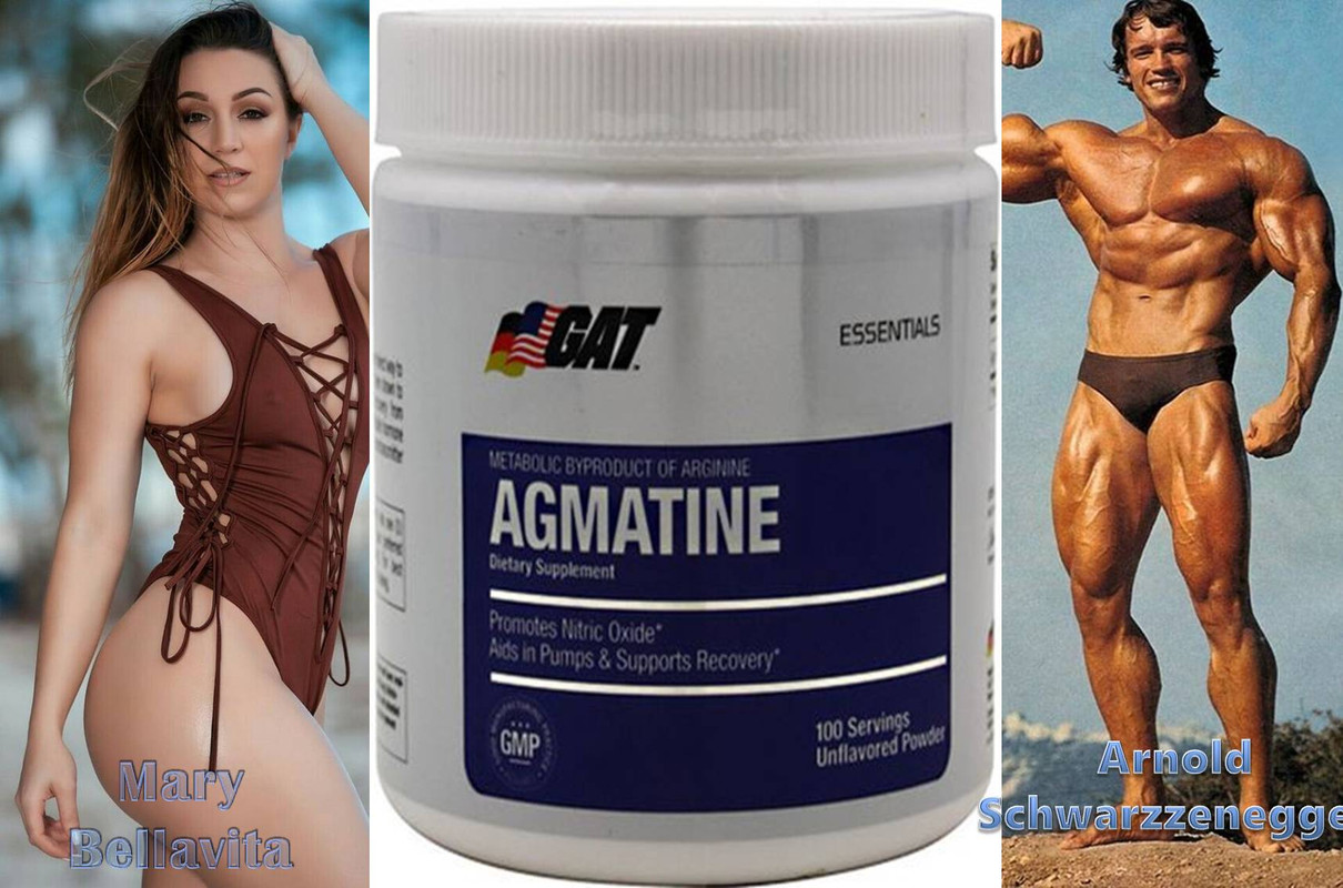 Agmatine Essentials by GAT Sport