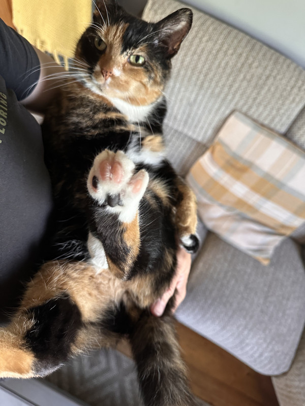 behold the face of evil