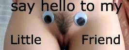 AudMLF.png