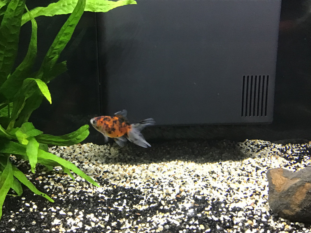 A1934633-DC28-4B4D-BF06-456FBADBB0F2