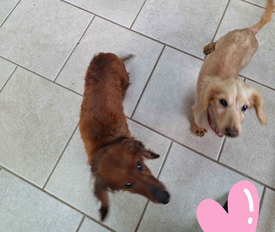 [Image: 20240426-104605.jpg]