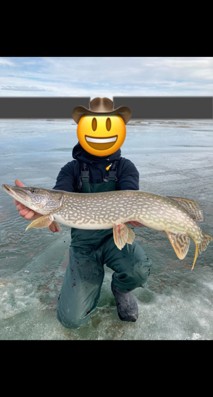 7A2FB968-1052-4D10-ACC5-D9B70ED62716