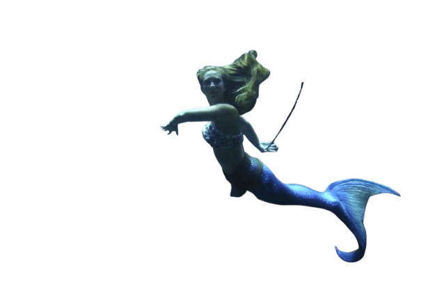 4168-mermaid-removebg-preview