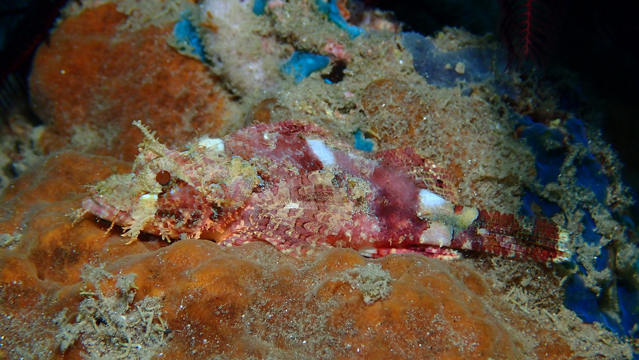 3B311603-8CCA-488E-81D5-E7FDBCE14802