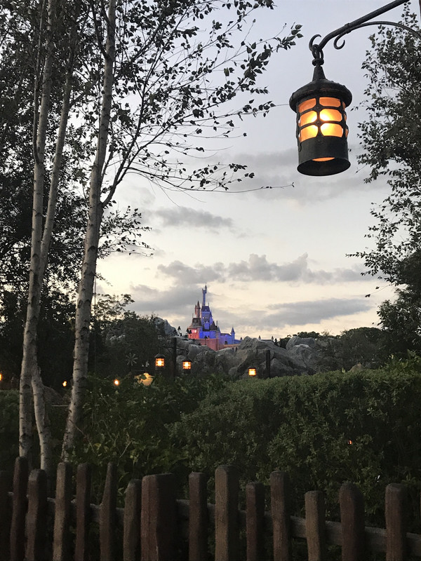 6471385D-99D0-42CD-9FF7-8949C6A9A57B