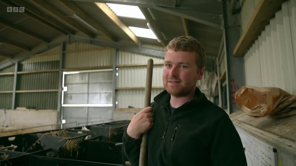 [Image: 2c8af2jgad7z.jpg]