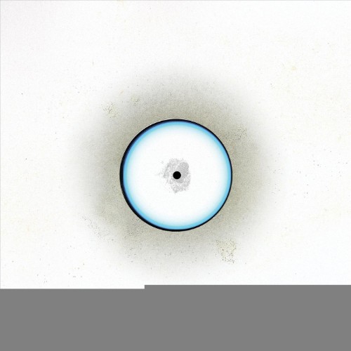 Eustress - Exit (2026)