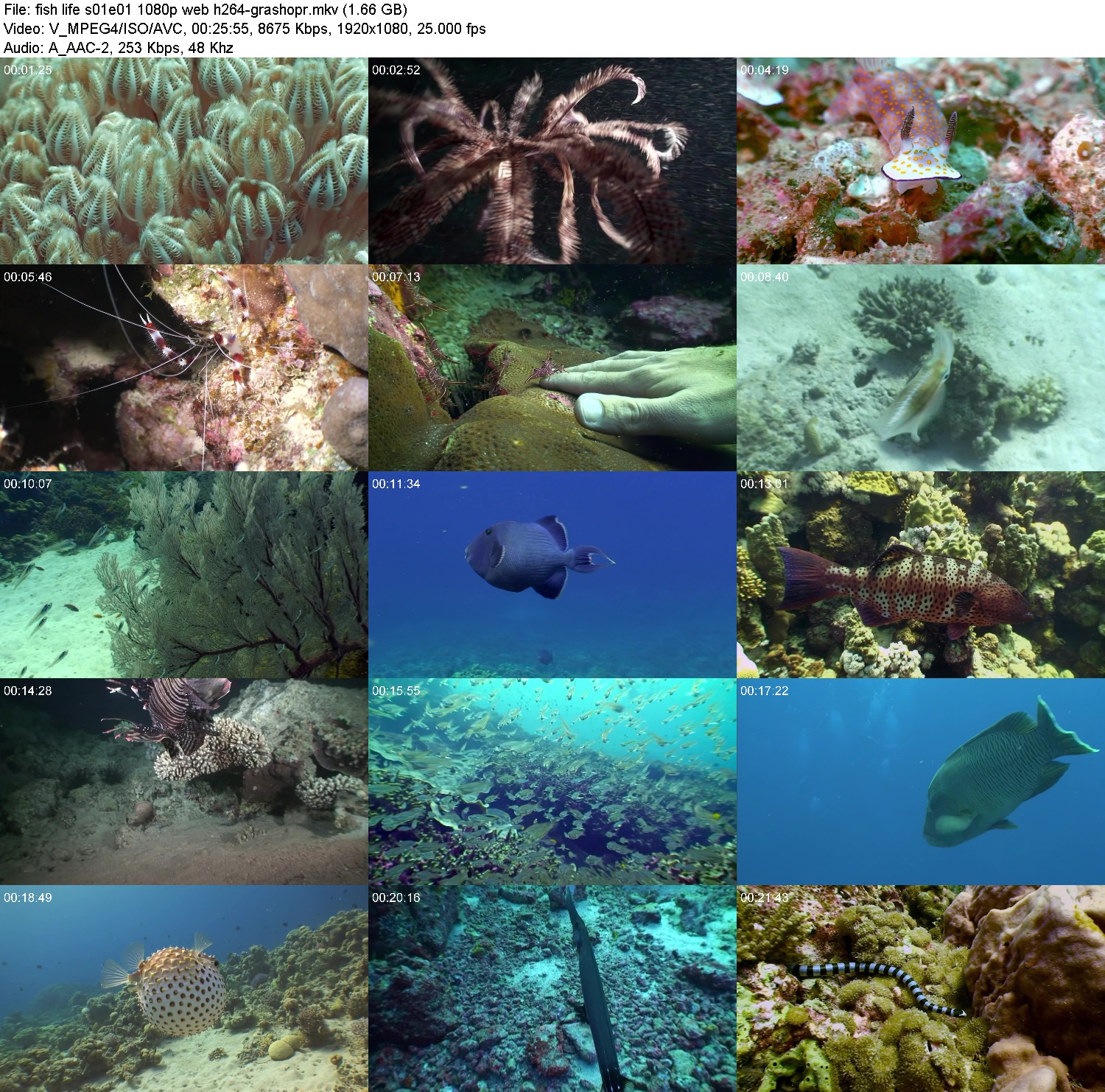 [Image: s786vdj9atvk.jpg]