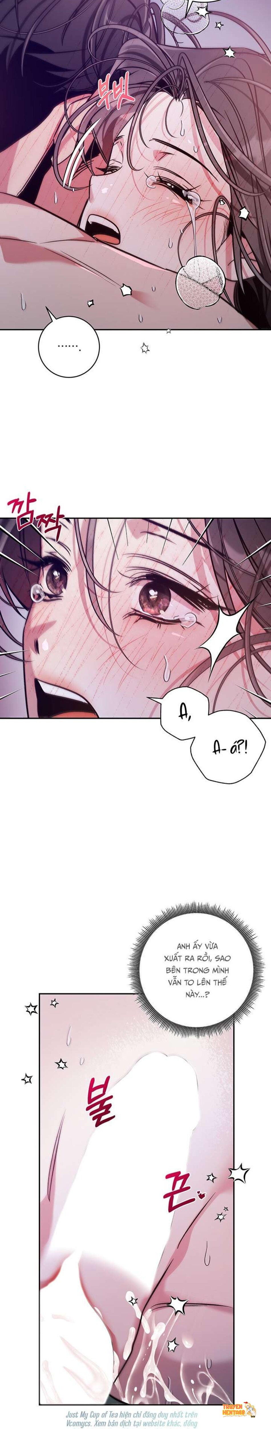 Xem ảnh Thế Mà Đòi Làm Nàng Tiên Ốc?! - Chapter 10 - tmpu1yly54r - Truyenhentaiz.net