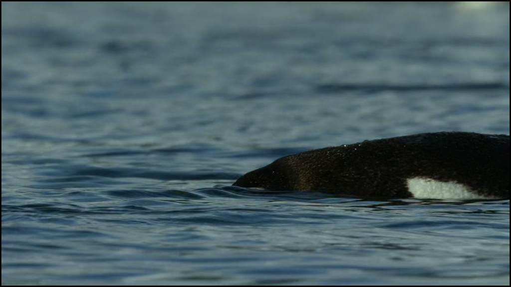 [Image: fn867ux1wpyv.png]