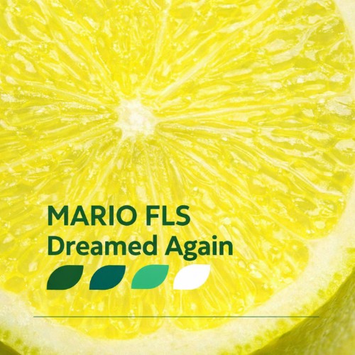 MARIO FLS - Dreamed Again (2026)
