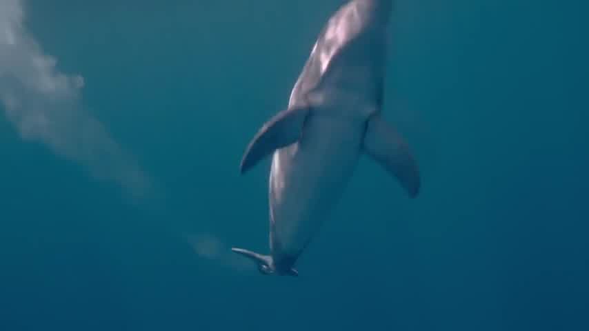 [Image: 6tzs3ggp02qd.jpg]