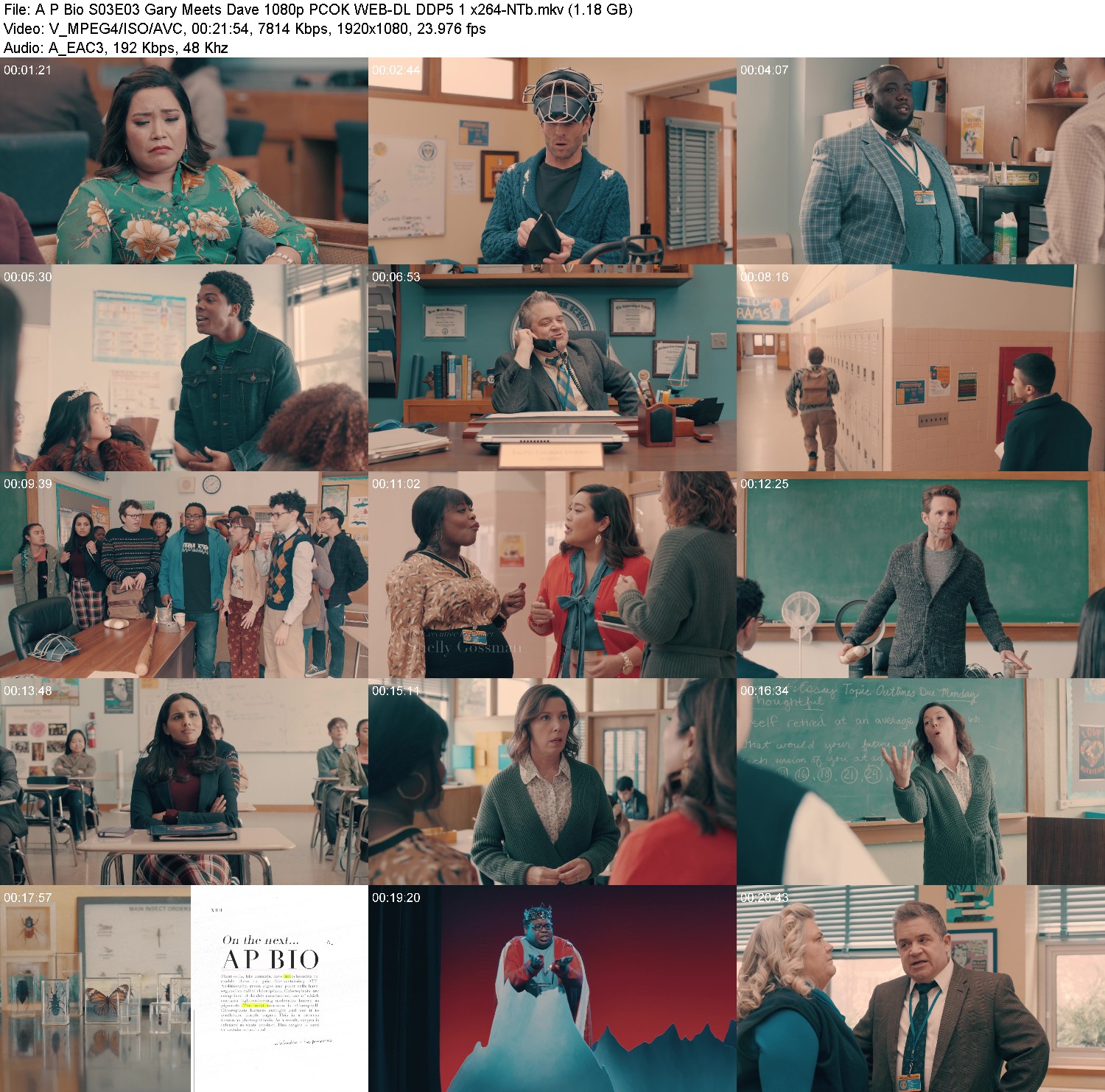 [Image: hdxg14p5nsm7.jpg]