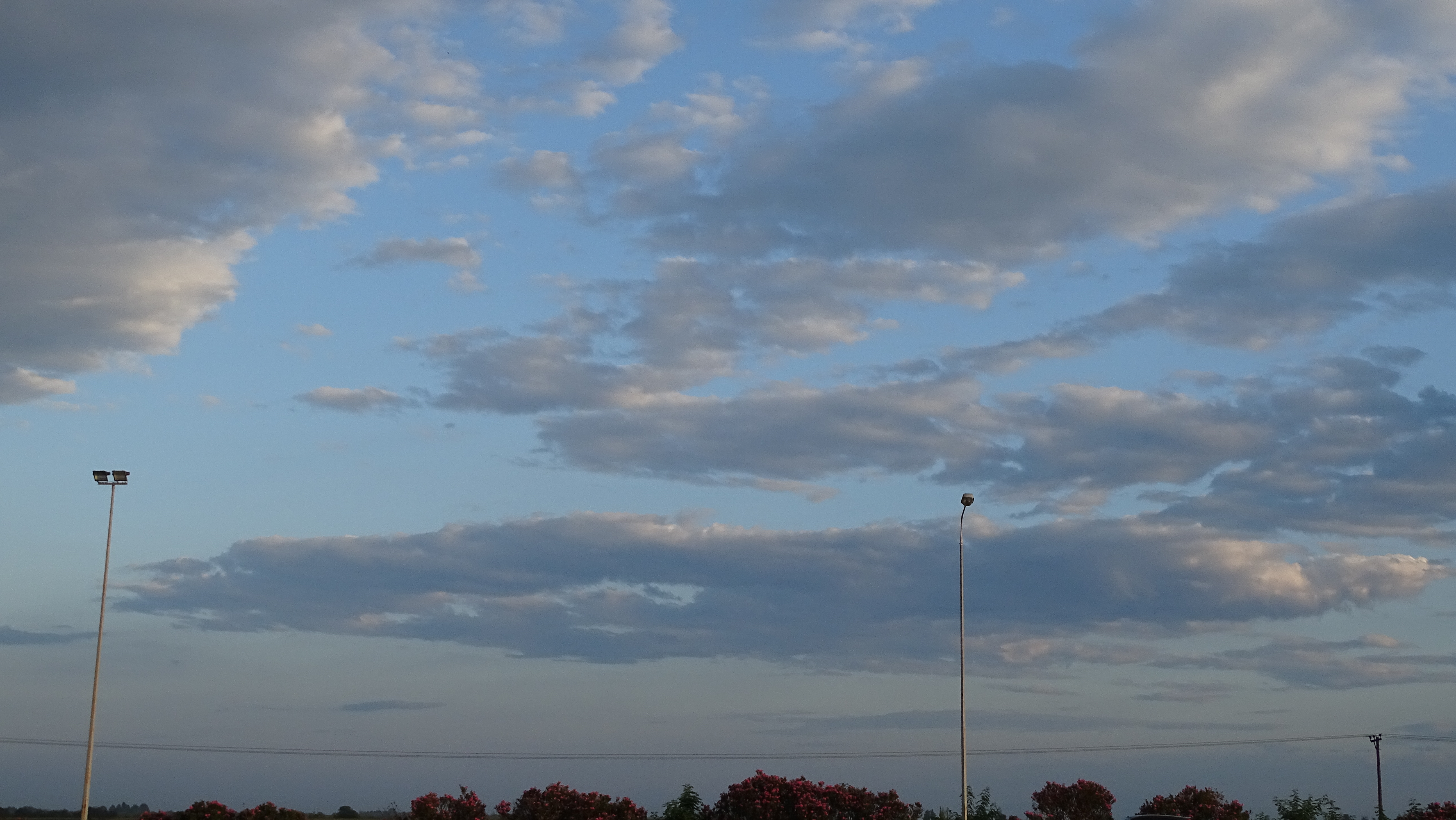 DSC02095.jpg