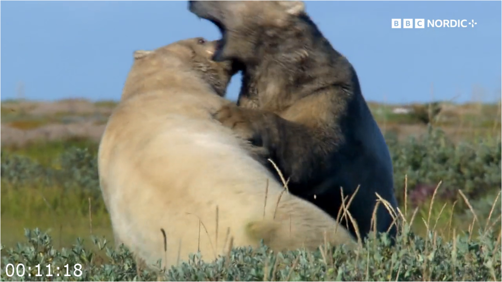 [Image: 4587hyujpuxo.png]