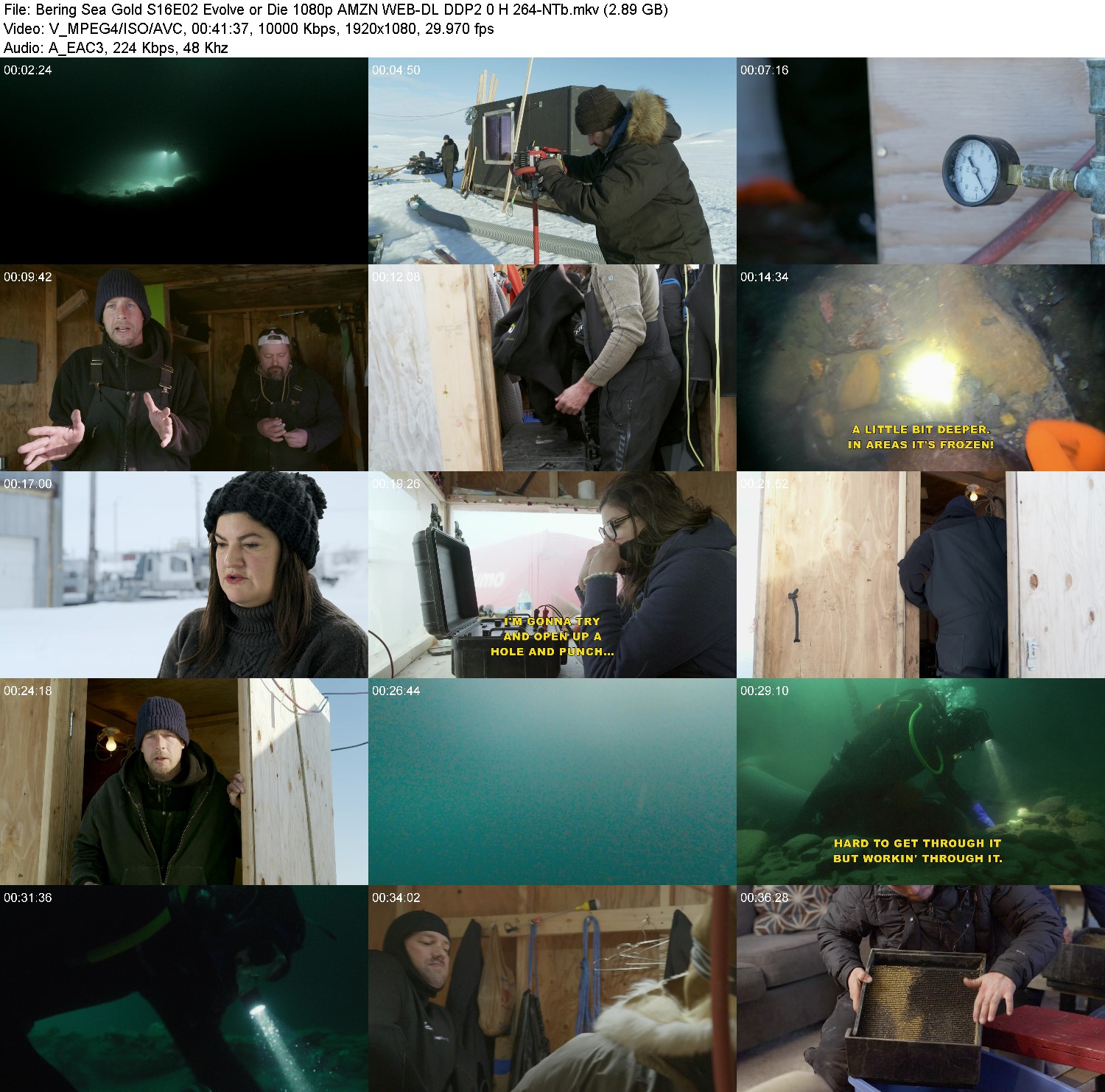 [Image: r868kq8onktz.jpg]