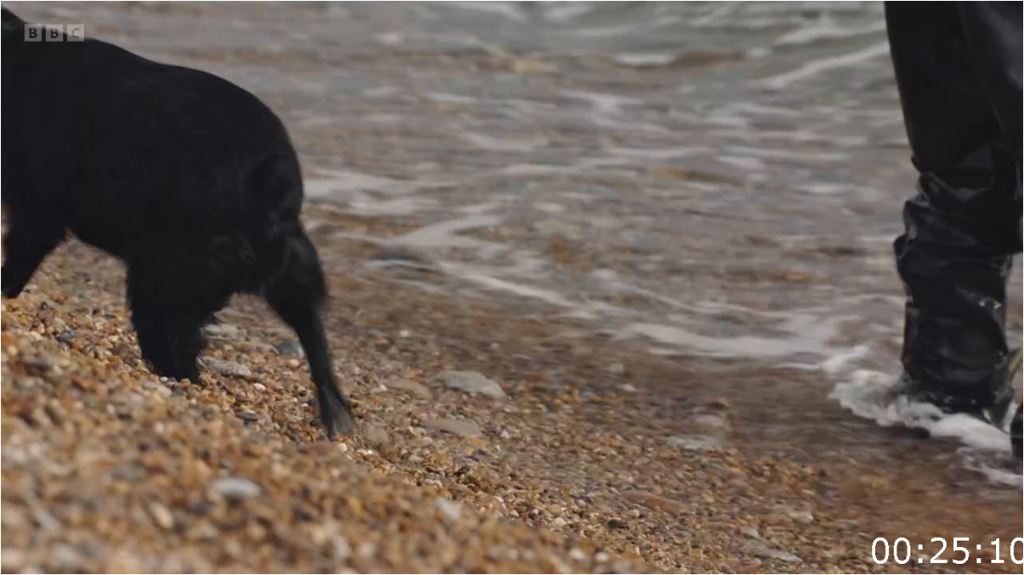 [Image: y0xgx3ulsu36.png]