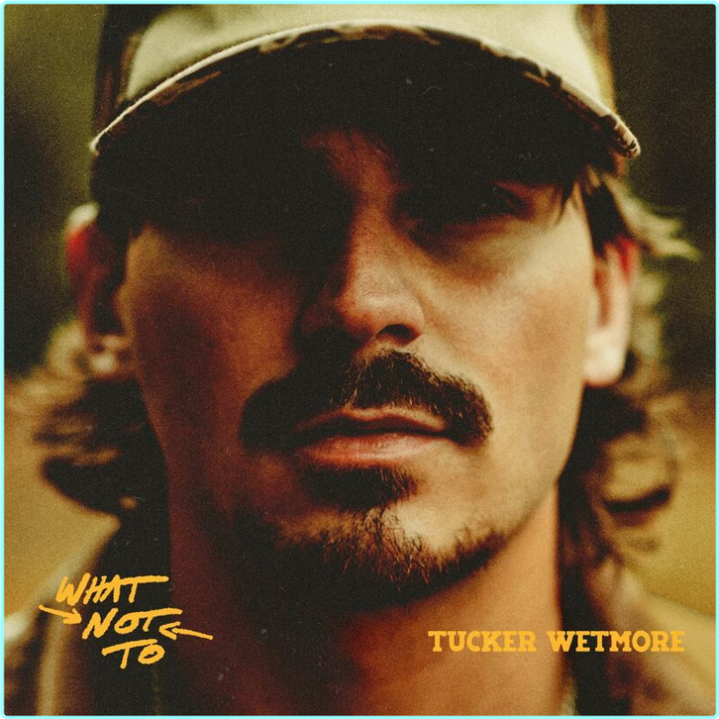 [Image: k9qmfna6d28u.png]