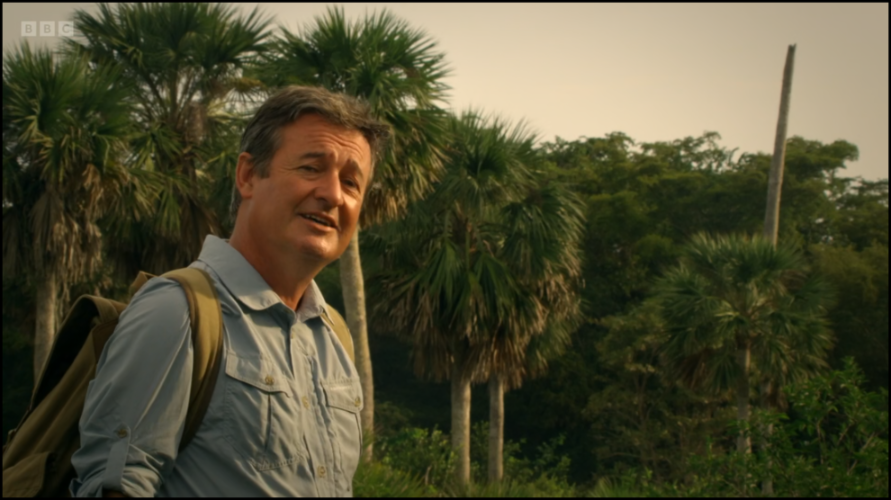 [Image: z37tilmf8lk8.png]