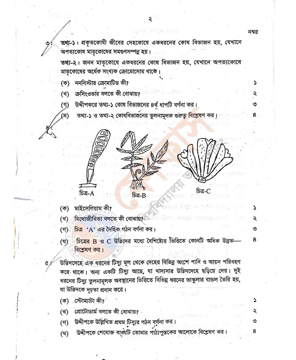 Alim Biology MCQ Solution 2026 4